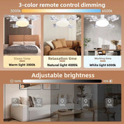LumiBreeze™ 2-in-1 Ceiling Fan Light